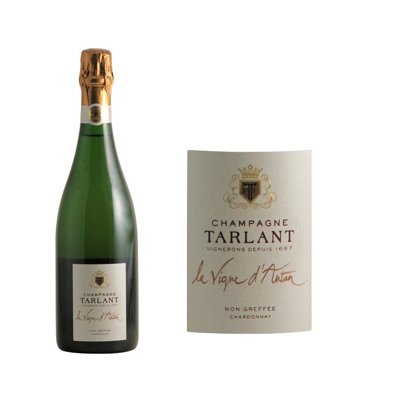 Tarlant La Vigne d'Antan - Non gréffée