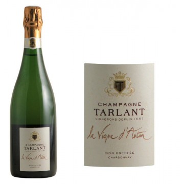 Tarlant La Vigne d'Antan - Non gréffée