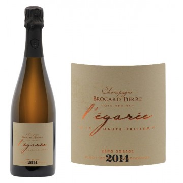 Brocard Pierre L'Egarée