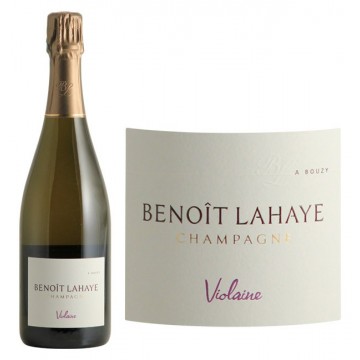 Lahaye-Benoit Violaine