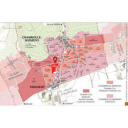 Chambolle-Musigny 1er Cru Les Amoureuses