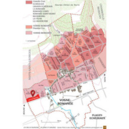 Vosne-Romanée "Précolombière"