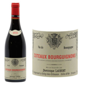 Côteaux Bourguignons Pinot...