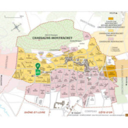 Chassagne-Montrachet 1er Cru Blanc Morgeot Vigne Blanche
