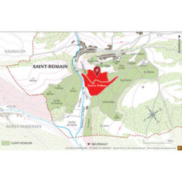 Saint-Romain Blanc Sous le Château