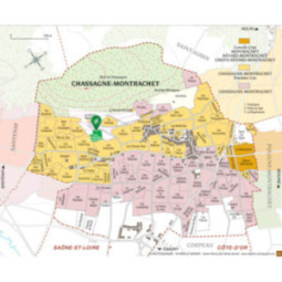 Chassagne-Montrachet 1er Cru Les Grandes Ruchottes