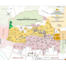 Chassagne-Montrachet 1er Cru Les Baudines