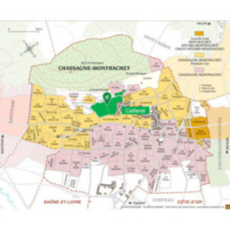 Chassagne-Montrachet 1er Cru Les Caillerets