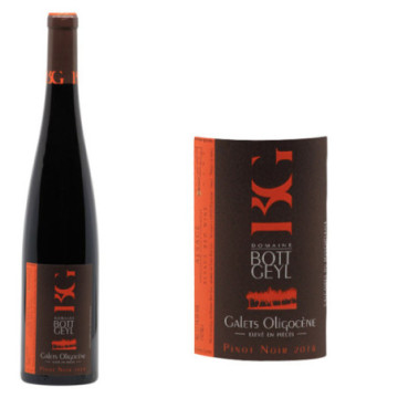 Pinot Noir "Galets Oligocène"