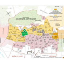 Chassagne-Montrachet 1er Cru Rouge Morgeot Fairendes