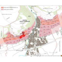 Nuits-Saint-Georges 1er Cru Les Pruliers