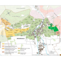 Meursault 1er Cru Santenots
