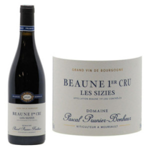 Beaune 1er Cru Les Sizies