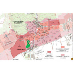 Vougeot 1er Cru Blanc Les Cras