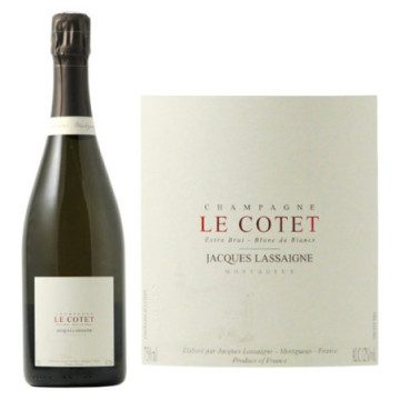 Jacques Lassaigne Le Cotet