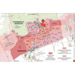 Chambolle-Musigny 1er Cru Les Cras