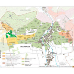 Meursault 1er Cru Perrières