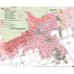 Gevrey-Chambertin "Coeur de Roy"