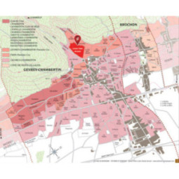 Gevrey-Chambertin 1er Cru Lavaux Saint-Jacques 'Vieilles Vignes'