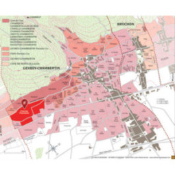 Charmes-Chambertin 'Vieilles Vignes'