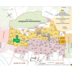 Chassagne-Montrachet 1er Cru Blanc Morgeot