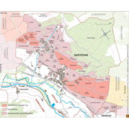 Santenay Rouge Les Saunières