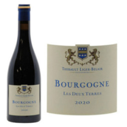 Bourgogne Gamay "Les 2 Terres"