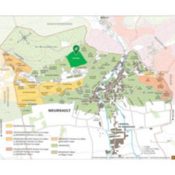 Meursault Les Clous