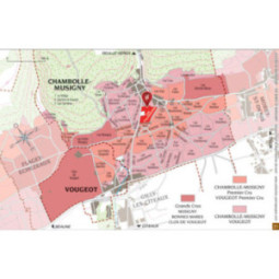 Chambolle-Musigny 1er Cru Les Feusselottes