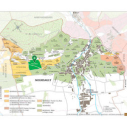 Meursault 1er Cru Genevrières