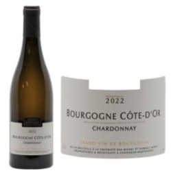 Bourgogne Côte d'Or Chardonnay