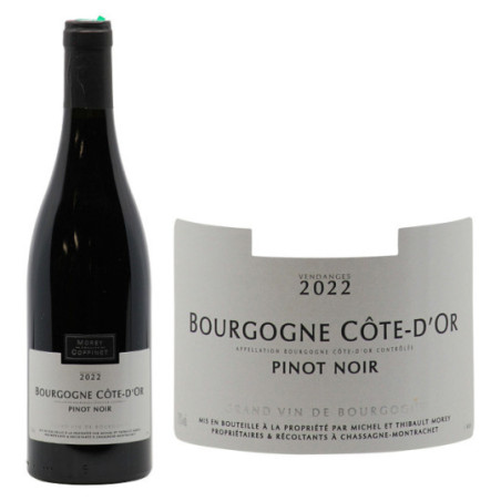 Bourgogne Côte d'Or Pinot Noir