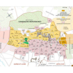 Chassagne-Montrachet 1er Cru La Boudriotte