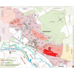 Santenay 1er Cru Les Gravières