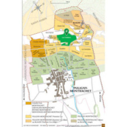 Puligny-Montrachet Ez Folatières