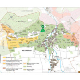 Meursault Les Tessons