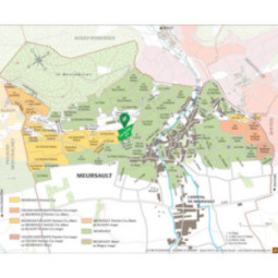 Meursault 1er Cru Les Gouttes d'Or