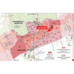 Chambolle-Musigny 1er Cru Les Noirots
