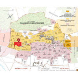 Chassagne-Montrachet 1er Cru Rouge Morgeot