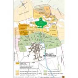 Puligny-Montrachet 1er Cru Les Folatières