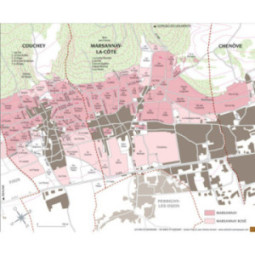 Marsannay "Cuvée Saint-Urbain"