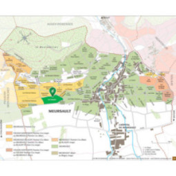 Meursault Le Limozin