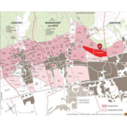 Marsannay Les Longeroies 'Sans Soufre'