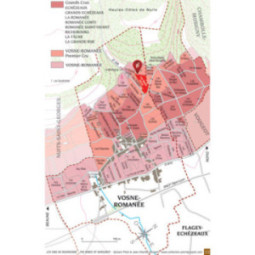 Vosne-Romanée 1er Cru Les Beaux Monts