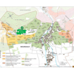 Meursault Les Narvaux