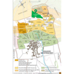 Puligny-Montrachet 1er Cru Les Champs Gains