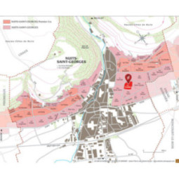 Nuits-Saint-Georges Au Chouillet 'Vieilles Vignes'