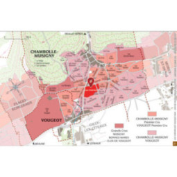 Chambolle-Musigny 1er Cru Les Charmes