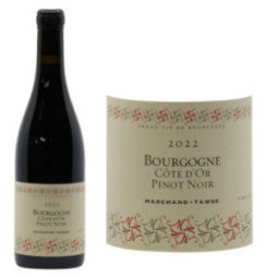 Bourgogne Côte d'Or Pinot Noir