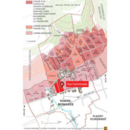 Vosne-Romanée Aux Communes